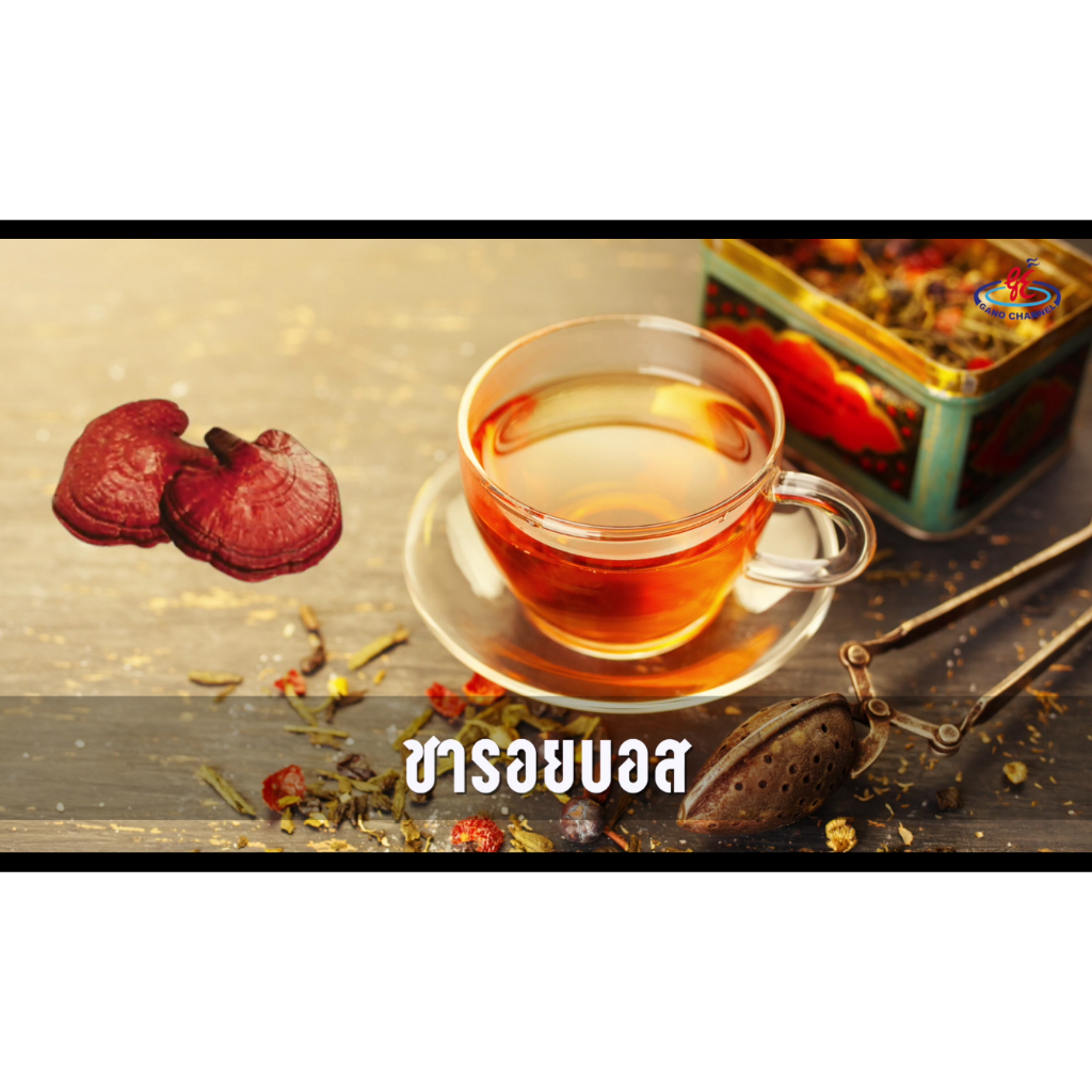 ชากาโน ผสมเห็ดหลินจือ GANO TEA MIXED WITH GANODERMA LUCIDUM ชารอยบอส ชา ...