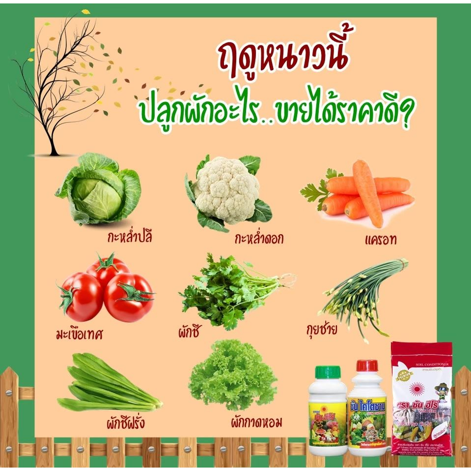 6ชุด-ซันฮีโร่-ไคโตซาน-ขนาด1ลิตร-เพิ่มผลผลิต-ลดต้นทุน-ดีต่อสุขภาพ-พืชโตไว