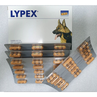 Lypex  เอมไซม์อาหารเสริมตับอ่อน เสริมการทำงานระบบช่วยย่อยอาหารสำหรับสุนัขและแมว (Exp.2024)