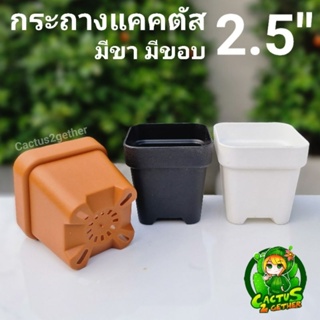 กระถาง4เหลี่ยม 2.5