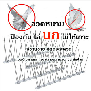 🕊🚫 หนามไล่นก ไล่นกพิราบ ที่ดักนก กันนกพิราบ Bird Spikes กันนกเกาะ อุปกรณ์ไล่นกทำรัง ทนทาน กำจัดนกได้ผลจริง 100%