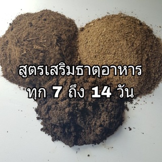 ดินสูตรเสริมธาตุอาหารทุก 7 ถึง 14 วัน