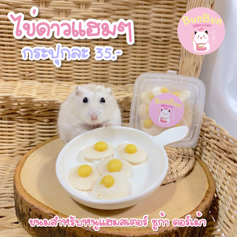 bunbunxhamster-ขายดี-ส่งไว-ไข่ดาวแฮมๆ-ขนมสำหรับหนูแฮมสเตอร์-แฮมเตอร์-ดอร์เม้า-ชูก้า