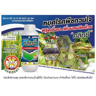 คลิกซี่ (ไพราโคลสโตรบิน) 500 ซีซี เฮดไลน์ป้องกันและรักษาโรค เช่น โรคใบไหม้แผลใหญ่ โรคยางไหล โรคใบจุดสีม่วง และแอนแทรกโนส