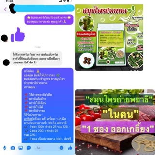 ภาพขนาดย่อของภาพหน้าปกสินค้าถ่ายพยาธิในคนสมุนไพรปวกหาด จากร้าน dxjk4avvqt บน Shopee ภาพที่ 1