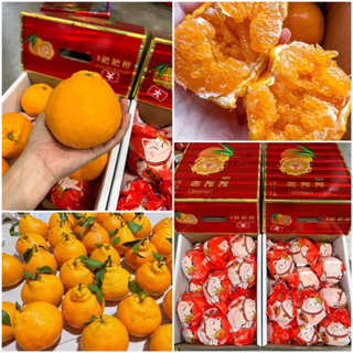 ภาพหน้าปกสินค้าพร้อมส่ง‼️(ราคานี้ได้ยกลัง4กิโลกรัม) ส้มจุกสด ล็อตใหม่ เนื้อเป็นเกร็ดๆ อร่อยมาก ที่เกี่ยวข้อง