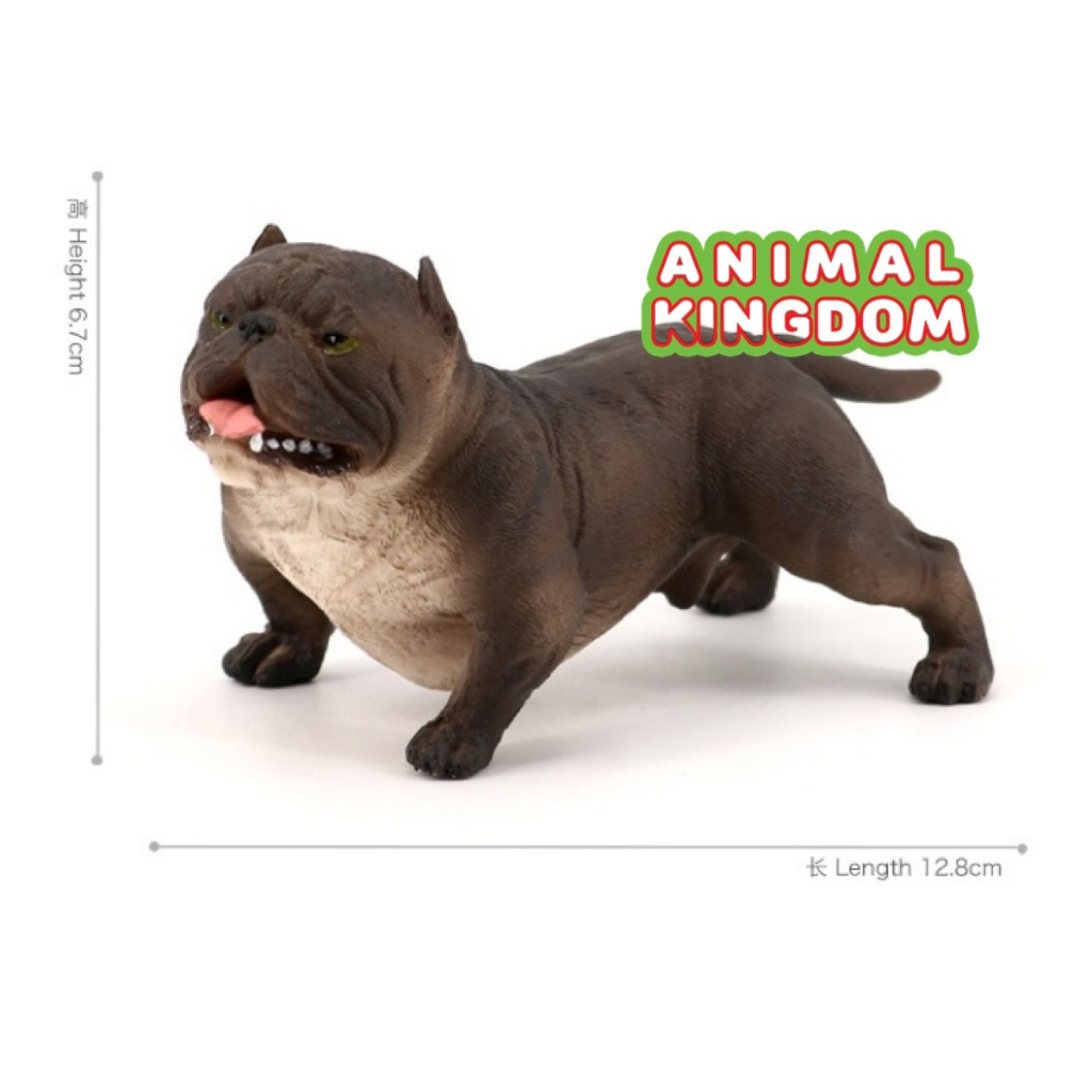 animal-kingdom-โมเดลสัตว์-สุนัข-หมาพิทบูล-ดำ-ขนาด-13-60-cm-จากหาดใหญ่