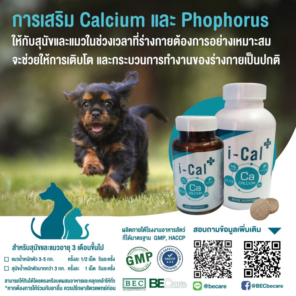 I cal plus แคลเซียม i cal plus สำหรับสุนัขและแมว 25 เม็ด / 50 เม็ด ...