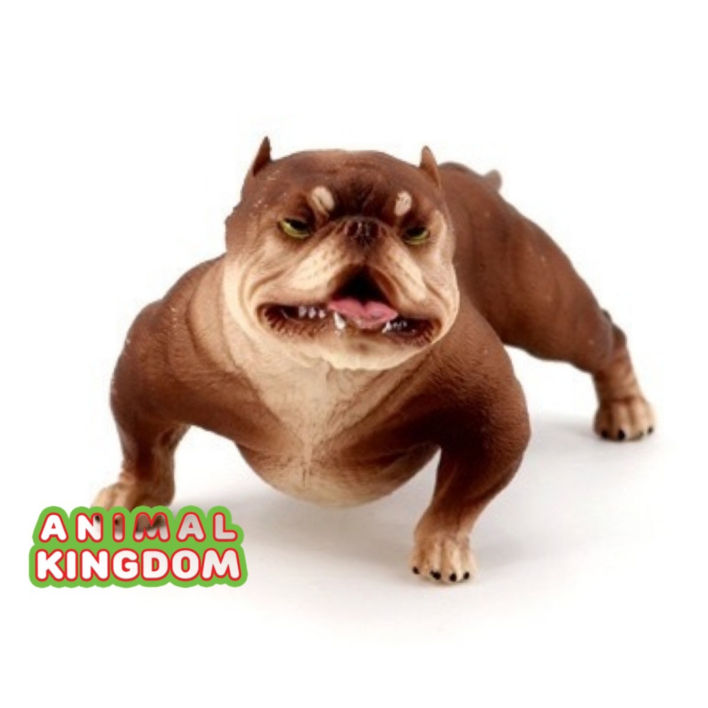 animal-kingdom-โมเดลสัตว์-สุนัข-หมาพิทบูล-น้ำตาล-ขนาด-13-60-cm-จากหาดใหญ่