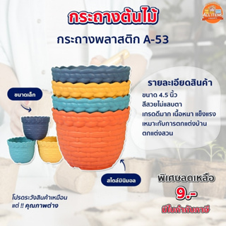 กระถางต้นไม้ กระถางต้นไม้พลาสติก หลายแบบหลายสี(4 สี)ขนาดเล็ก เก๋ๆ สไตล์มินิมอล ขนาด 4.5 นิ้ว (A-53)