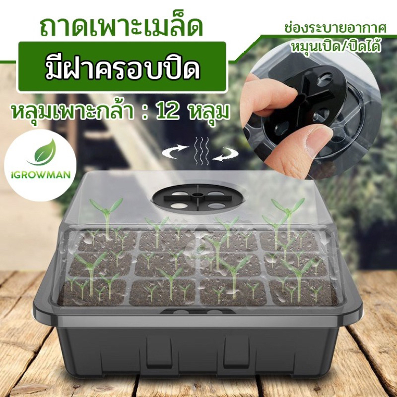 ถาดเพาะเมล็ดทรงสูง-12หลุม-ถาดเพาะต้นกล้า-ถาดปักชำกิ่ง-seedling-tray-พร้อมฝาบ่มระบายอากาศ-ควบแน่นต้นไม้