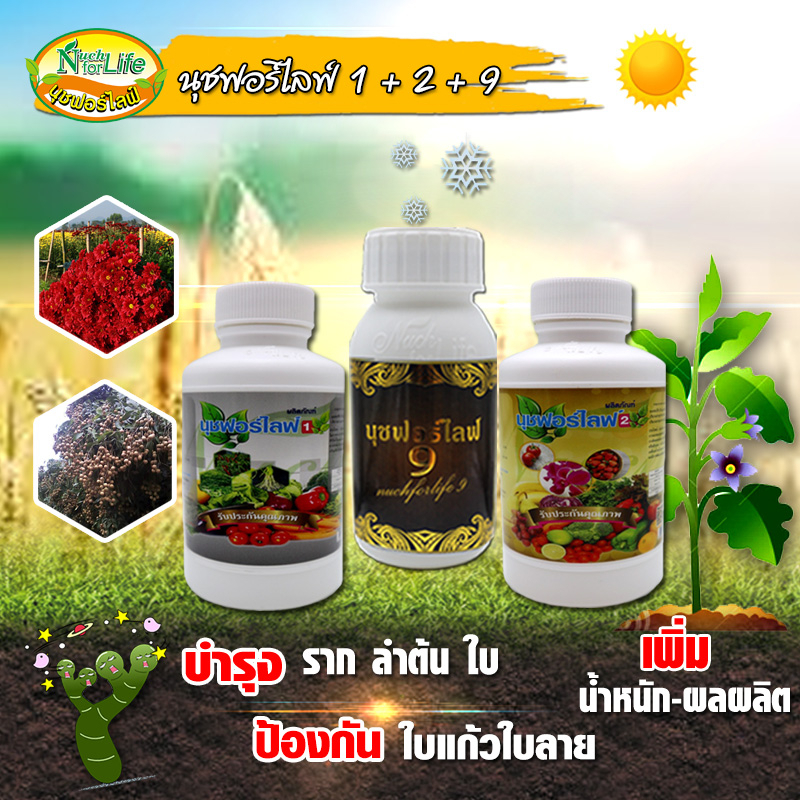 นุช1-2-9-ขนาด-100cc-เกษตรนุชฟอร์ไลฟ์