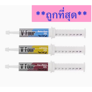 V-Four ของใหม่! อาหารเสริมวิตามินสูตรเข้มข้น บำรุงสุขภาพ สำหรับสุนัขและแมวทุกวัย