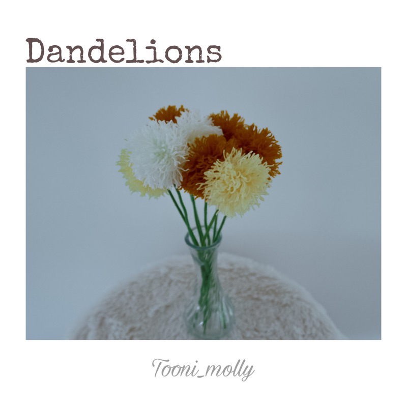 ดอกแดนดิไลออน-dandelion