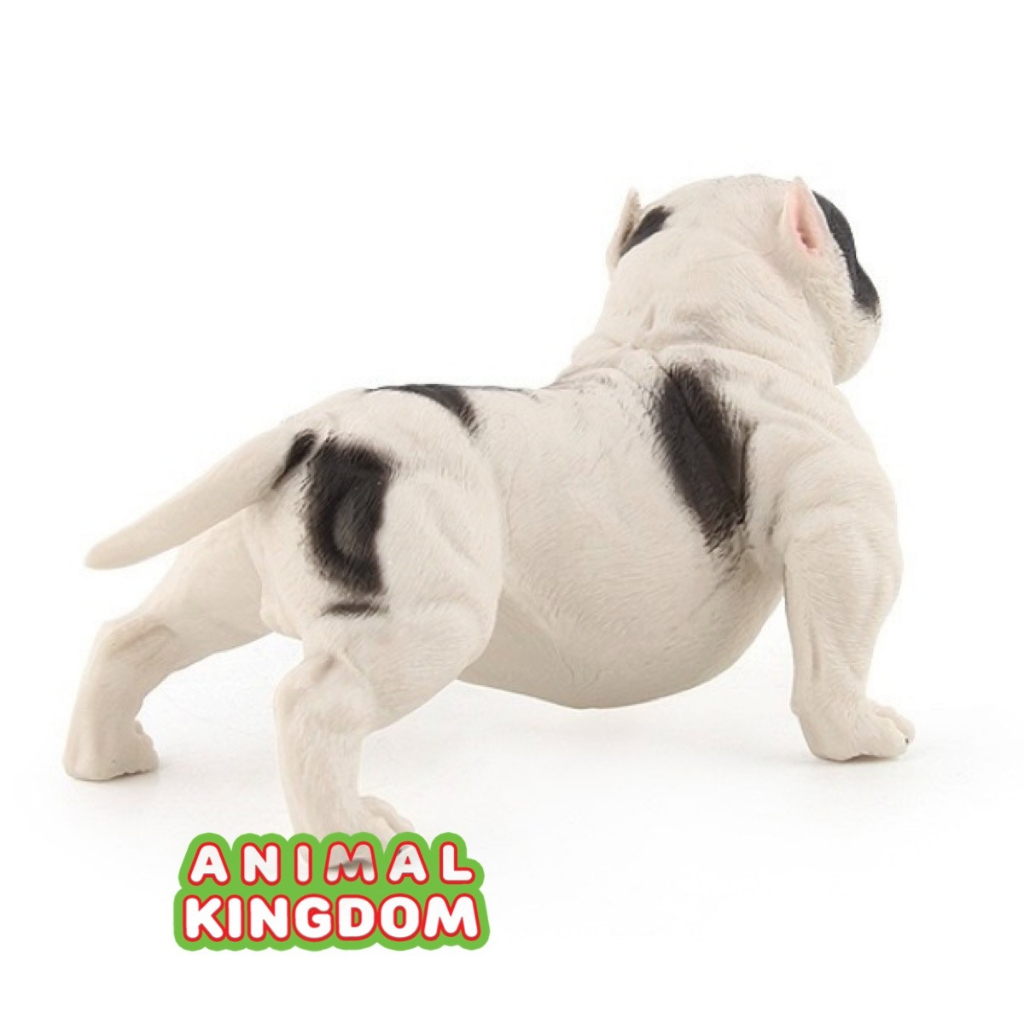 animal-kingdom-โมเดลสัตว์-สุนัข-หมาพิทบูล-ขาว-ขนาด-13-60-cm-จากหาดใหญ่