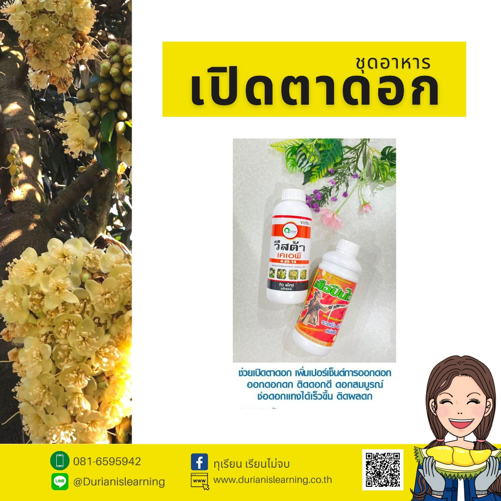 ชุดอาหารเปิดตาดอก-กระตุ้นเพิ่มดอก-เสริมสร้างการแตกตาดอกให้ดีมากขึ้น