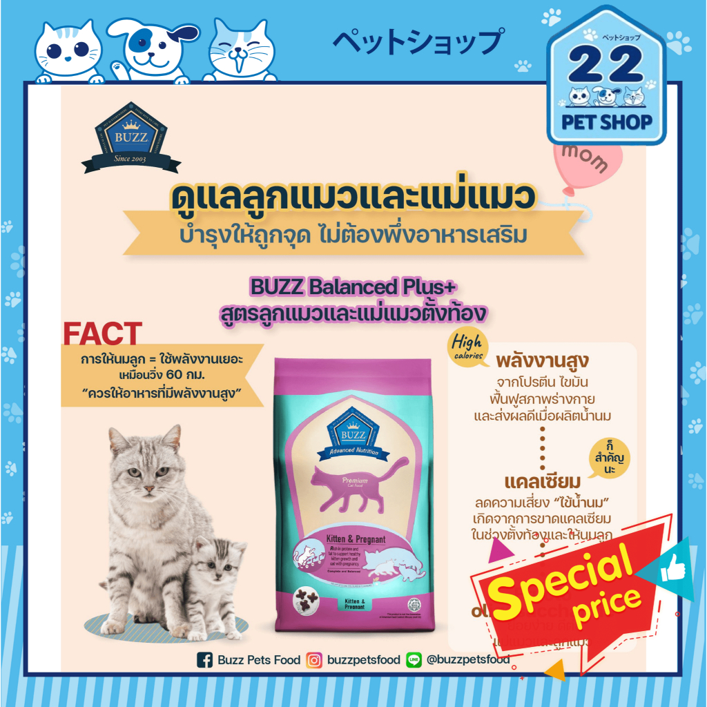 BUZZ Balanced+ Premium Cat Food อาหารแมวเกรดพรีเมี่ยม สูตรบำรุงเฉพาะ ...