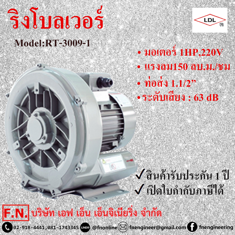 ldl-rt-3009-1-ริงโบลเวอร์-แรงลมสูง-1hp-220v