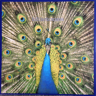 แผ่นเสียง LP The Bluetones – Expecting To Fly