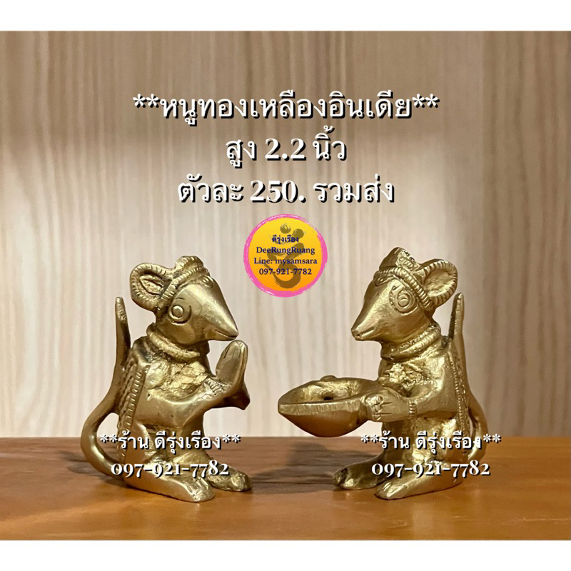 หนูทองเหลืองอินเดีย-สูง-2-2-นิ้ว