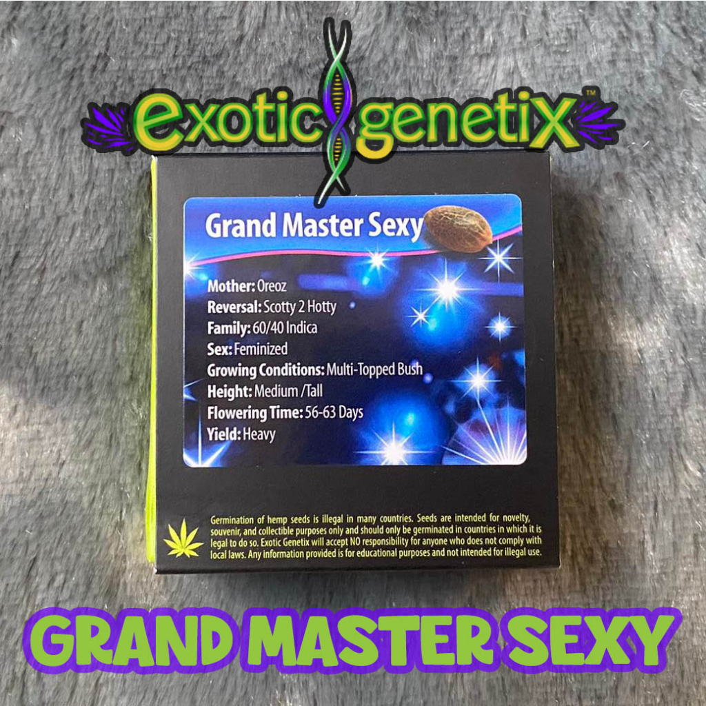 เมล็ดกัญชา Exotic Grand Master Sexy Fem Cannabis Seeds (Pack of 6) Shopee Thailand