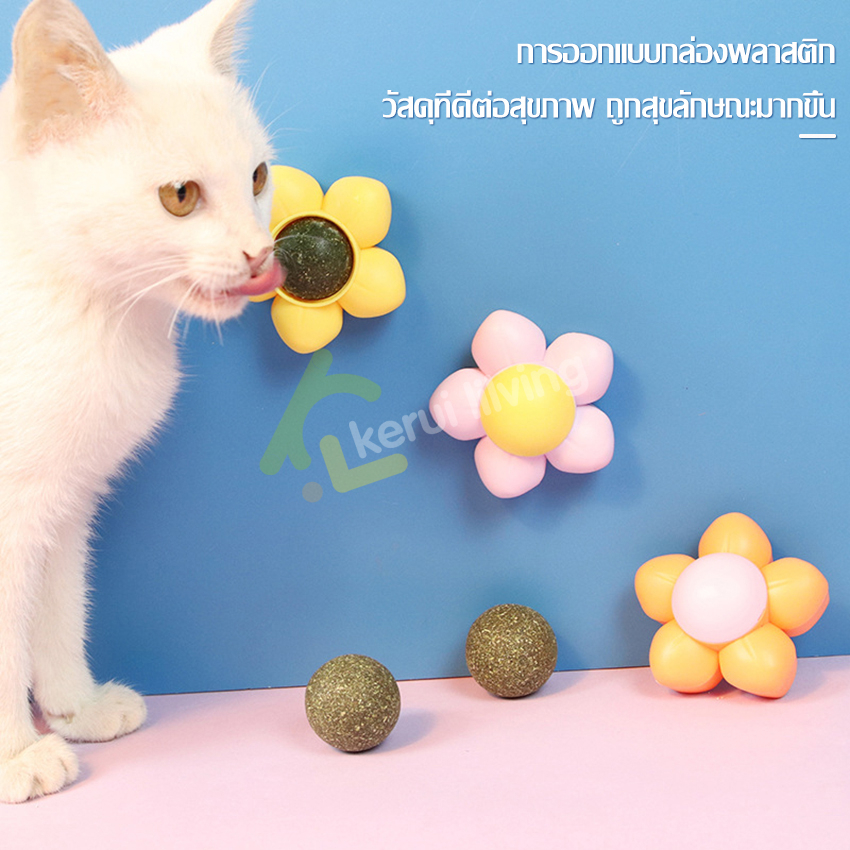 กัญชาแมว-แคทนิปบอล-catnip-ball-แคทนิปติดผนัง-รูปดอกไม้-มี-3-สีให้เลือก-กัญชาบอล-ของเล่นแมวเลีย-ลูกบอลแคทนิป-ผ่อนคลายแมว