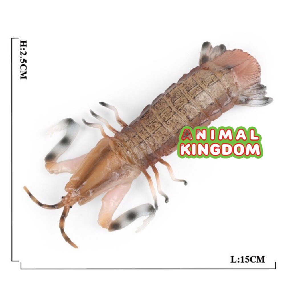 animal-kingdom-โมเดลสัตว์-กั้งทะเล-ขนาด-15-00-cm-จากสงขลา