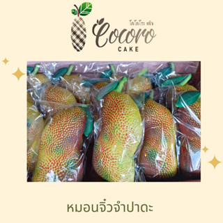 CocoroCake ของที่ระลึก หมอน พวงกุญแจ น้องจำปาดะ ของฝาก ของดีเกาะยอ ของฝากจากเกาะยอ ของฝากจากสงขลา แหล่งรวมผลไม้อร่อย