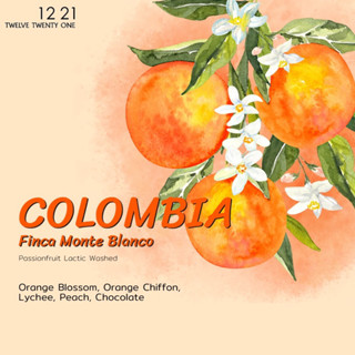 COLOMBIA Finca Monte Blanco