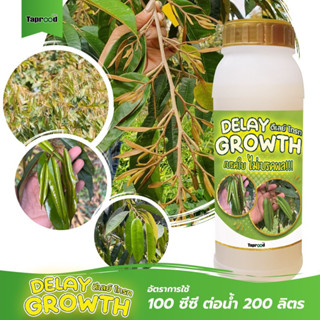 ทุเรียน​แตกใบอ่อนกางเร็วกางไว #Delay Growth ดีเลย์ โกรท  💥❗❗