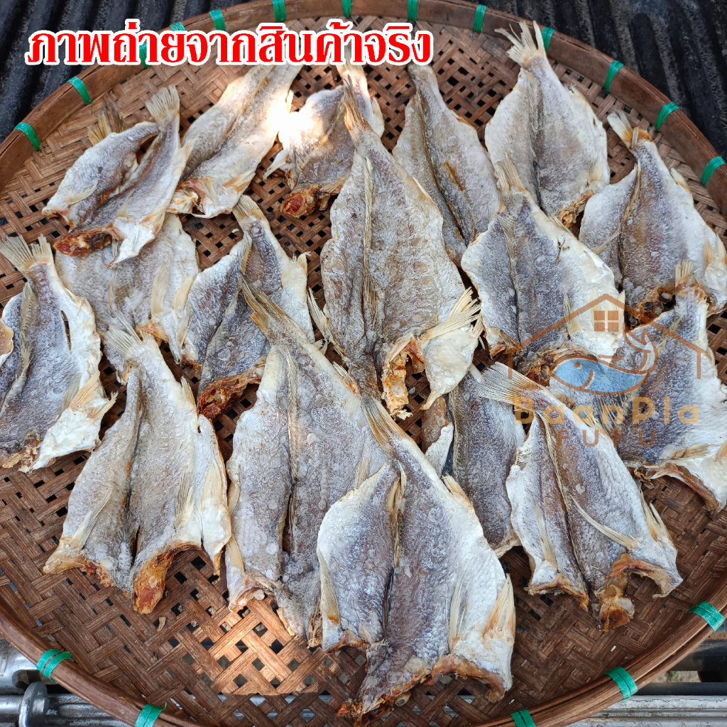 ปลาบ่งนา-ปลาตากแห้งพม่า-เป็นปลาเนื้อเค็ม-ทอดกินอร่อย-แกงก็อร่อย-ขนาด500กรัม-1กิโลกรัม-สะอาด-อร่อย-ส่งเร็ว