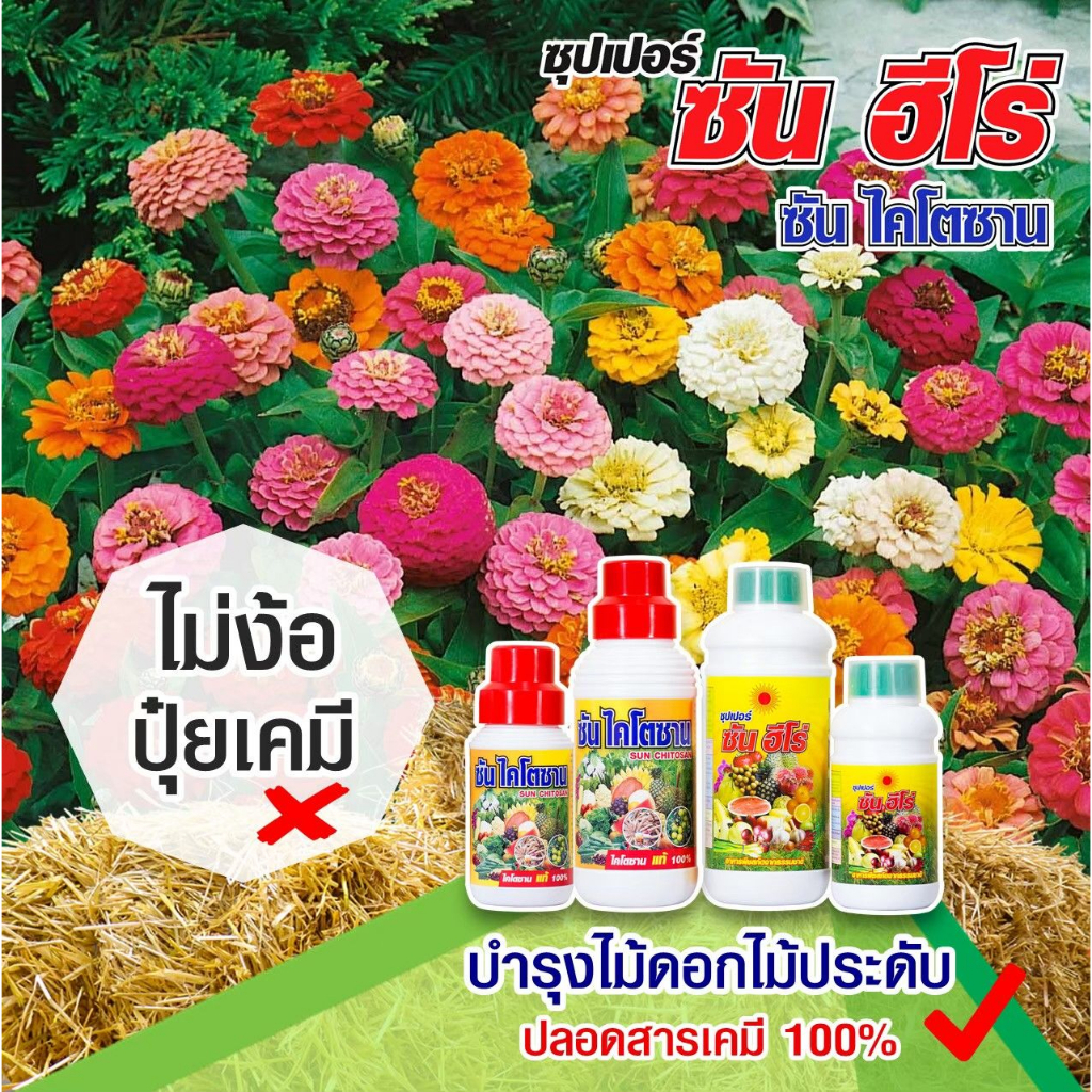 12ชุด-ซันฮีโร่-ซันไคโตซานขนาด0-5ลิตร-ส่งฟรี