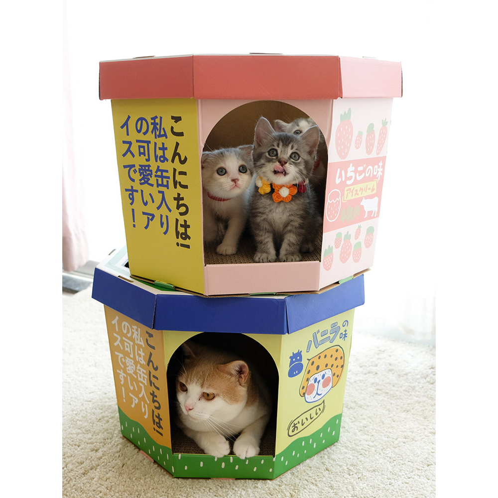 บ้านกล่องไอศกรีมแบรนด์-misspet-ที่ลับเล็บแมว-ของเล่นแมว-พร็อพถ่ายรูป-พร็อพถ่ายรูปแมว