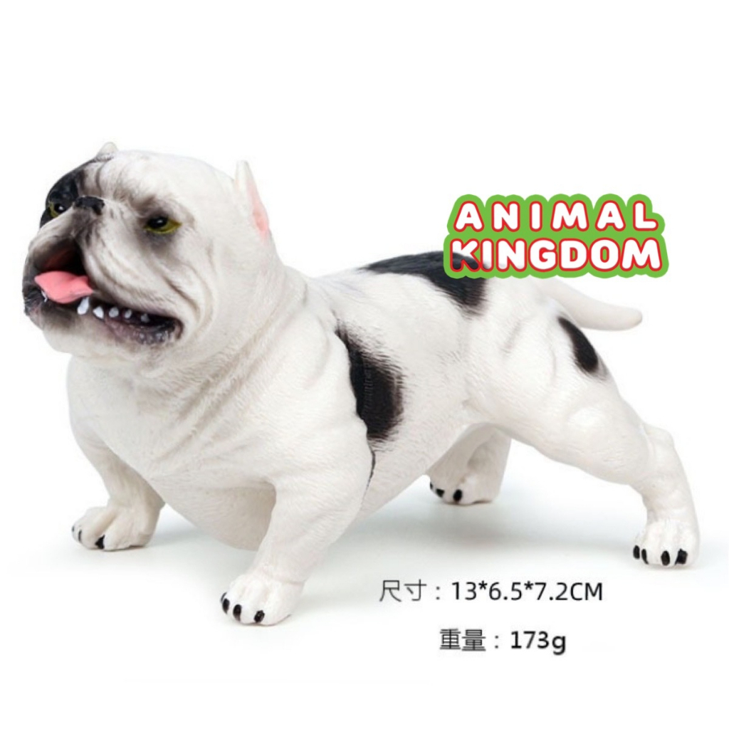 animal-kingdom-โมเดลสัตว์-สุนัข-หมาพิทบูล-ขาว-ขนาด-13-60-cm-จากหาดใหญ่