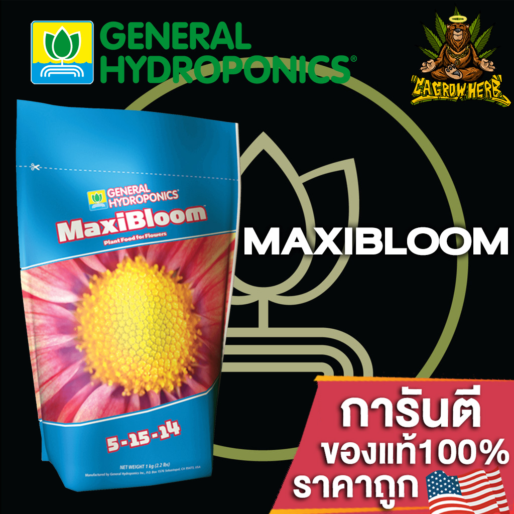 general-hydroponics-maxibloom-ปุ๋ยหลักทำดอก-และธาตุอาหารรองตามที่พืชต้องการเพื่อให้พืชมีคุณภาพที่ดีที่สุด-50-100-250g