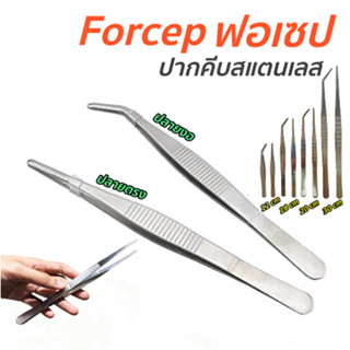 ราคาฟอร์เซป forceps สแตนเลส (ขนาด 12,18,20,30 Cm) สำหรับผสมเกสร แคคตัส (กระบองเพชร) ฟอเซปคีมคีบ มีให้เลือก 2 แบบ ปลายตรง/งอ