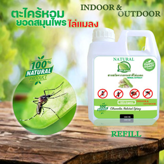 ตะไคร้หอมไล่แมลง (Citronella Natural Spray) ไล่ยุง มด แมลงสาบ