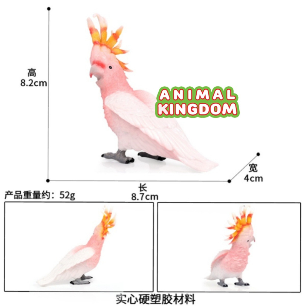 animal-kingdom-โมเดลสัตว์-นกกระตั้ว-ขนาด-11-00-cm-จากสงขลา