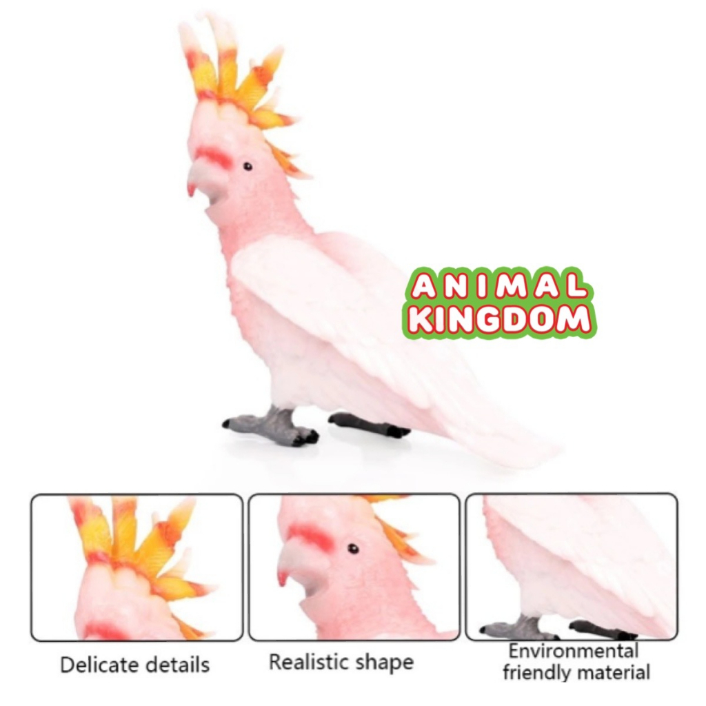 animal-kingdom-โมเดลสัตว์-นกกระตั้ว-ขนาด-11-00-cm-จากสงขลา