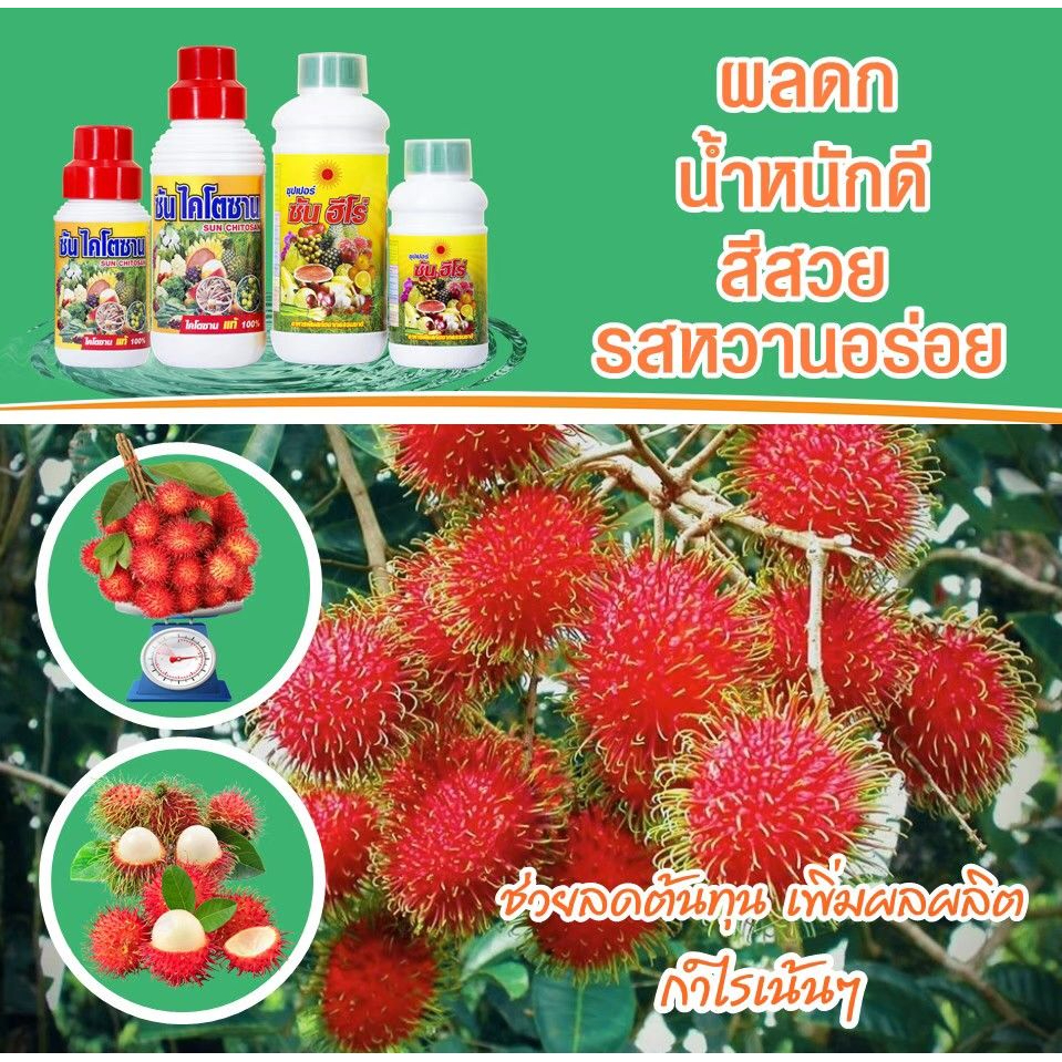 12ชุด-ซันฮีโร่-ซันไคโตซานขนาด0-5ลิตร-ส่งฟรี