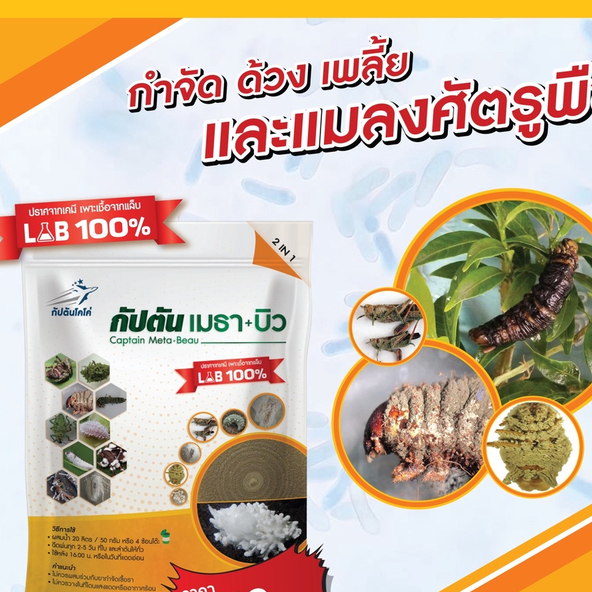 บิวเวอร์เรีย-เมธาไรเซียม-กัปตันเมธา-บิว-ยาฆ่าแมลง-100กรัม-ปลอดภัย-100