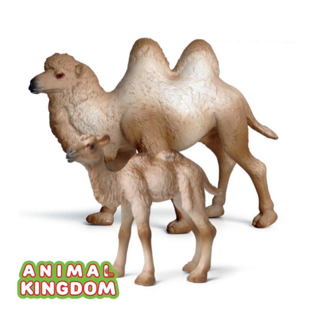 animal-kingdom-โมเดลสัตว์-อูฐ-สองหนอก-แม่ลูก-ครีม-ชุด-2-ตัว-จากหาดใหญ่