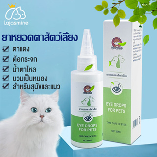 ราคาและรีวิว🐶🐱ผลิตภัณฑ์หยอดตาสุนัข ผลิตภัณฑ์หยอดตาแมว ใช้หยอดตาอักเสบ สุนัขและแมว 60ml สูตรอ่อนโยน ดวงตาที่สะอาด