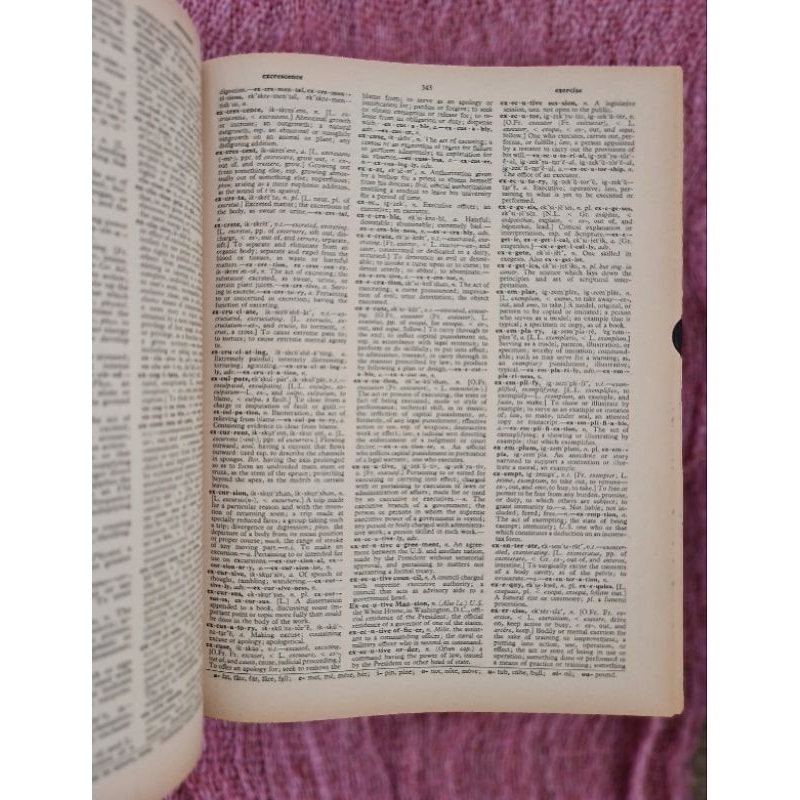 new-websters-dictionary-of-the-english-language