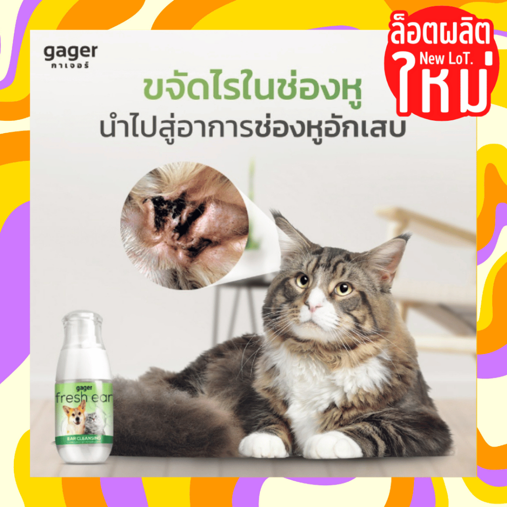 ของใหม่-แท้-gager-กาเจอร์-น้ำยา-เช็ดหู-โลชั่น-ทำความสะอาดหู-แมว-สุนัข-หมา-ช่วยลดกลิ่น-ป้องกันไรหู-50-ml