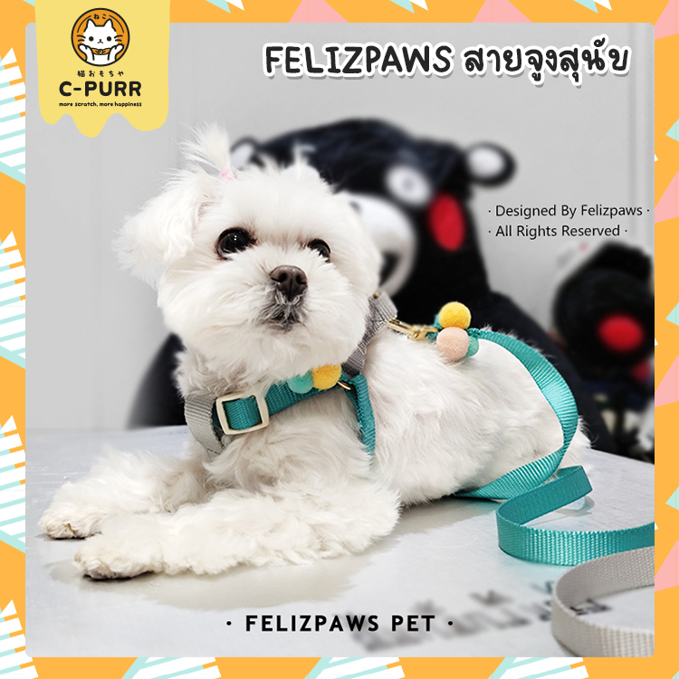 felizpaws-ชุดสายจูง-สายจูงสุนัข-ทูโทน-สำหรับสุนัขพันธุ์เล็ก-ตกแต่งปอมปอม