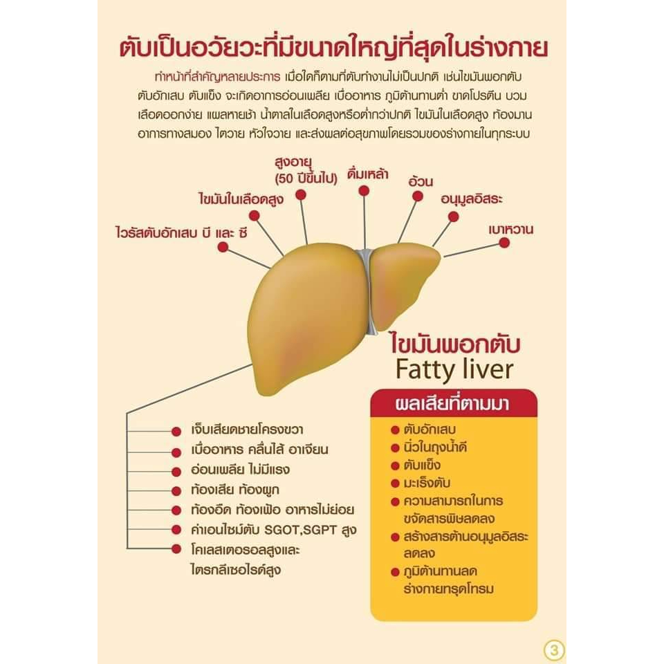 ภาพสินค้าเลซิติน ️ของแท้มีรับประกัน ️ Giffarine Lecithin ตรากิฟฟารีน จากร้าน media_shopdee บน Shopee ภาพที่ 6