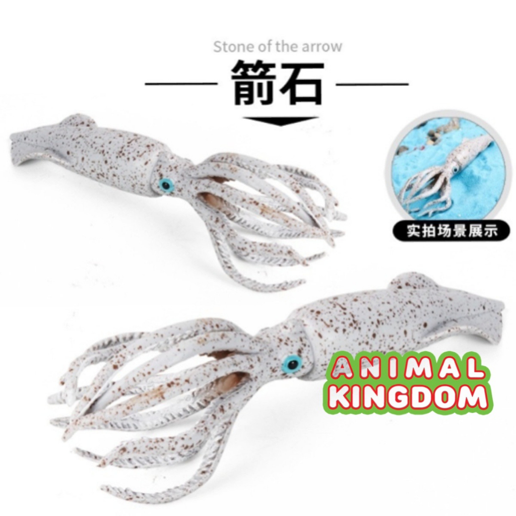 animal-kingdom-โมเดลสัตว์-ปลาหมึก-ขาวจุด-ขนาด-16-00-cm-จากสงขลา