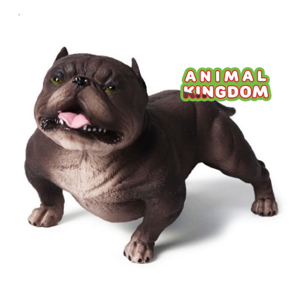 animal-kingdom-โมเดลสัตว์-สุนัข-หมาพิทบูล-ดำ-ขนาด-13-60-cm-จากหาดใหญ่