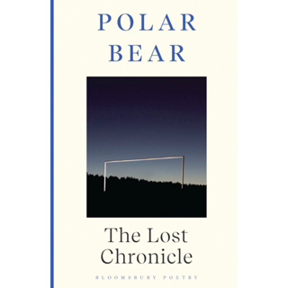 หนังสือภาษาอังกฤษ The Lost Chronicle: 2004-2009 Hardcover